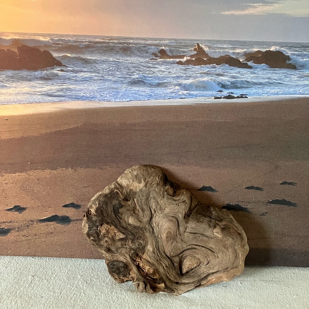 Driftwood Burl
